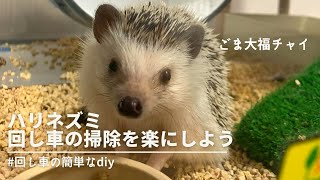 【ハリネズミ🦔#17】 回し車の掃除を楽にしよう！　How to easily clean a hedgehog wheel