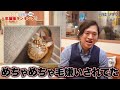 【2022年上半期！人気猫種ランキング top20 】飼いやすさやご家庭に合った猫種の絞り方を現役猫ブリーダーが徹底解説！