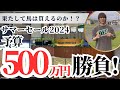 【リアル馬主】「セリ予算500万勝負！」零細馬主がサマーセール参戦！果たして馬は買えるのか!?【競馬】