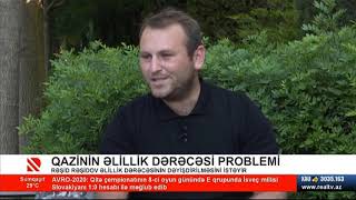 Qazinin əlillik dərəcəsi problemi