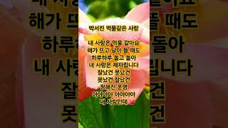 박서진 먹물같은사랑 김유라 원곡자 가수 #트로트 #노래 #음악 #트롯 #love #감성 #박서진 #먹물같은사랑