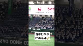 【美爆音】マツケンサンバ(習志野高校吹奏楽部) #侍ジャパン #日本代表