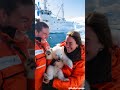 🐻‍❄️ Tiny Polar Bear's Heartwarming Rescue! 😍 #PolarBearRescue #WildlifeConservation #ArcticAnimals