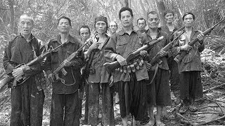 Có Lẽ Đây Là Phim Lẻ Chiến Tranh Việt Nam Mỹ Hay Nhất Mà Bạn Không Nên Bỏ Lỡ Trong Đời