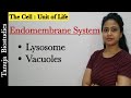 Cell : The Unit of Life - Endomembrane System | Lysosome | Vacuoles | uicidal Bags |NEET/ 11 Biology