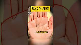 掌中的手紋，各有各的命運#手相 #运势