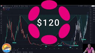 Polkadot can go to $120 when and why #DOT