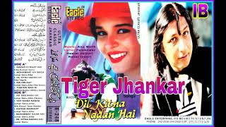 Aye Deewane Dil Kar Di Kea Mushkil.(((Eagle Ultra Classic Jhankar))) Kumar Sanu \u0026 Alka