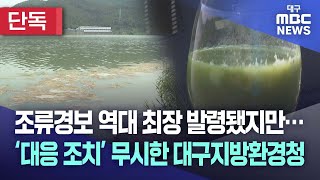 [단독] 대구지방환경청 '조류경보' 대응 조치 무시, 주민 건강에는 무관심? | 대구MBC뉴스