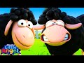 Baa Baa Black Sheep 1 | Little Angels Kids Cartoons/Songs & Nursery Rhymes