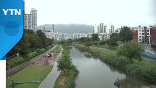 [날씨] 남해안 호우주의보 해제...큰 피해 없이 소강상태 / YTN