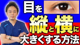 【整形】目を縦と横に大きくする方法を医師が解説【目を大きくする方法】