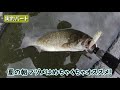 夏に釣りたいなら〇〇を狙え！夏の釣りの攻略ポイント