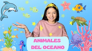 ¡Exploramos el Océano! Conoce los Animales Marinos con Starli- Video educativos para niños