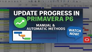 How To Update Progress In Primavera P6