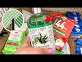 DOLLAR TREE SHOPPING!!! * NEW FINDS FOR THE WEEK!!!