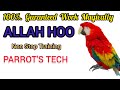 Allah ho sikhany ka tarika | TEACH YOUR PARROT TO SAY ALLAH HO | TRAIN YOUR PARROT IN 30 MINUTE