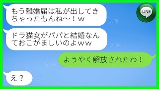 【LINE】再婚相手を見下し、独断で離婚届を提出した連れ子の娘は、「お父さんの財産目当てなんでしょ？」と皮肉交じりに話した。