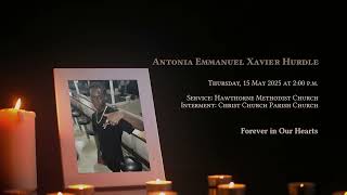 In Loving Memory of Antonia Hurdle - Obituary