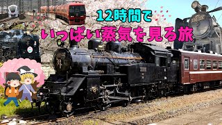 12時間でいっぱい蒸機を見る旅～Meeting Steam Locomotives All Day Long in 12 Hours\