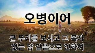 베트남광림교회 / 20240116 / 새벽예배 / 오병이어 /  마가복음 6장 30-44절 말씀