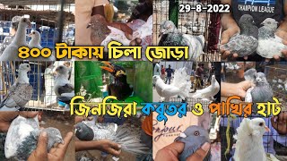 ৪০০ টাকায় চিলা জোড়া কবুতর জিনজিরা কবুতর হাট Jinjira kobutor hat 2022 kobutor hat Jinjira kobutor hat