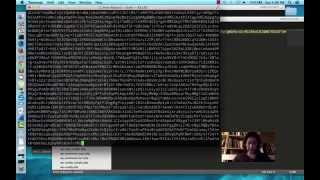 Using Bash to Decode a Hacked Site
