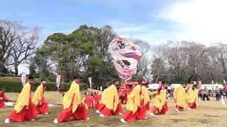 四街道舞謳歌 新曲お披露目『唐紅』〜カラクレナイ〜／本丸跡広場メイン会場／SAKURAすとりーと奏蘭