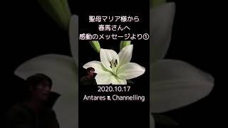 ①聖母マリア様から春馬さんへ感動のメッセージより 2020.10.17 #Shorts 17