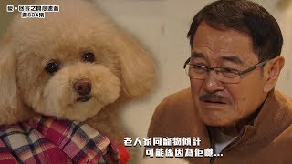 【愛．回家之開心速遞精華短片】第834集精華 老人與寵物談話可能是因為他們⋯｜熊樹根｜啤啤｜寵物