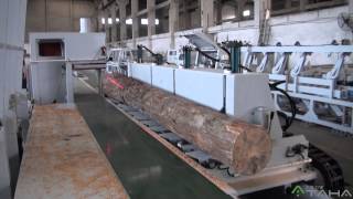 A machine can replace band saw machine——Arterki Log Automatic Single Rip saw