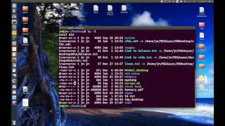 Give execute permissions to your bash script