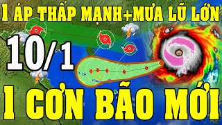 Tin bão Mới Nhất | Dự báo thời tiết hôm nay ngày mai 10/1/2025 | dự báo thời tiết 3 ngày tới