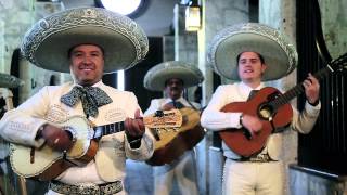 México Voz Que Canta - Mariachi Nuevo Tecalitlan Videoclip Oficial 2016