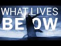 New ocean horrors! | What Lives Below