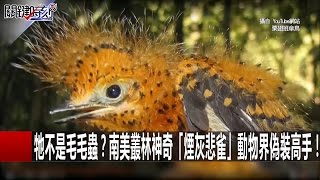 關鍵時刻 20160805 一刀未剪版