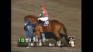 第48回　朝日杯３歳ステークス（ＧⅠ）本馬場入場　1996.12.8　出走馬：クリスザブレイヴ、マイネルマックス、アサカホマレ、セイリューオー、ランニングゲイル、スターマイサドル、パーソナリティワン他