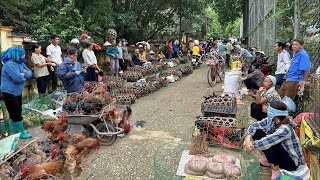 Chợ phiên vùng cao ở LÀO CAI còn  giữ được nét Nguyên Sơ Mộc Mạc & Bình yên - bán nhiều đồ độc lạ