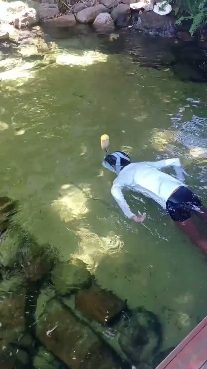 Eu Mergulhando Na Piscina Nova Youtube