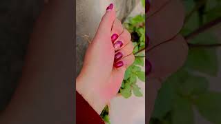 বন্ধুরা এটা আমার মিষ্টি ফুলের বাগানের ফুল #pleasesubscribe 🌼🌼🌼🌼💕