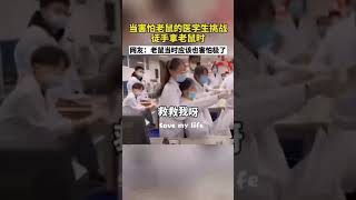 当害怕老鼠的医学生挑战徒手拿老鼠时