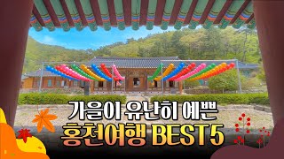 홍천 가을여행 Best 5  |  수타사, 알파카월드, 동키마을, 배바위카누마을, 하늘목장  |