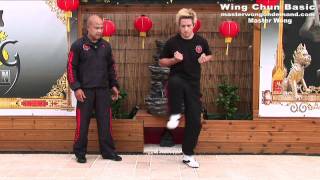 Wing Chun Mini Course Lesson 2