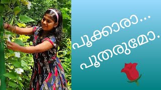 പൂക്കാരാ പൂ തരുമോ |നാടക ഗാനങ്ങൾ|Vanditha |വന്ദിത| pookkara poo tharumo