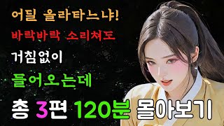 [야담만개의 1시간 몰아보기!] 특별한 24편, 용기백배한 바보는 아씨가 시키는 대로 거침없이 밀고들어오는데 / 야담 / 옛날이야기