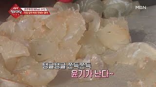 즉석에서 잡아 맛보는 광어회!