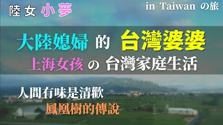 【小夢在台灣】大陸媳婦的台灣婆婆，上海女孩遠嫁來台灣的家庭生活是這樣的！媽媽的味道，人間有味是清歡，鳳凰樹的傳說，大陸女生遠嫁台灣的生活故事和心情日記分享，CC字幕，#上海人#小夢#陸配【024】