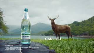 Borjomi! Canlı su, Gürcüstan Əfsanəsi