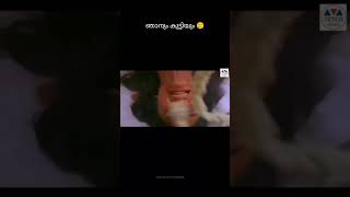 ഈ അനുഭവം എത്ര പേർക്ക് കിട്ടിയിട്ടുണ്ട്... #shorts #funny #dress