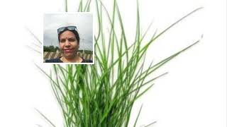 Arugampul Benefits; Dr.Rajalakshmi